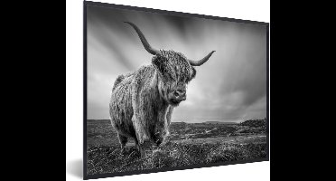 PosterMonkey - Poster - Fotolijst - Schotse hooglander - Natuur - Koe - Zwart wit - Kader - 40x30 cm - Poster zwart wit - Foto in lijst - Poster Schotse hooglander - Poster frame