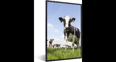 PosterMonkey - Fotolijst - Poster - Koe - Dieren - Natuur - Gras - Landschap - Poster met kader - 80x120 cm - Frame - Poster natuur - Foto lijst - Poster koe
