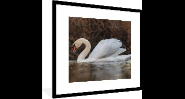 PosterMonkey - Poster - Fotolijst - Zwaan - Water - Dieren - Vogel - 40x40 cm - Wanddecoratie - Poster met lijst - Poster dieren - Foto lijst - Poster vogels