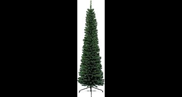Everlands Pencil Pine - 300 cm