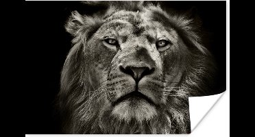 Poster Leeuw - Dieren - Portret - Wild - Zwart wit - 30x20 cm