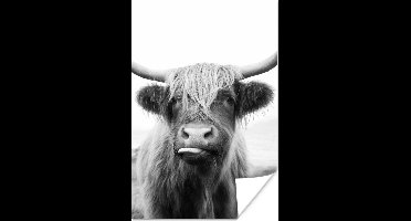 Poster Dieren - Schotse hooglander - Koe - Zwart - Wit - 20x30 cm