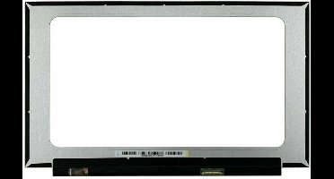 LCD scherm geschikt voor Acer Nitro 5 AN515-45 (QHD uitvoeringen)