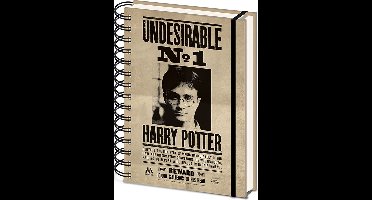 HARRY POTTER - Sirius & Harry Potter Notitieboek A5 3D