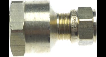 Gimeg puntstuk recht 1/4 inch binnendraad x 10mm