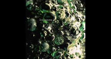 Scaler - Loam / New Symbols (12" Single)