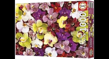 EDUCA - puzzel - 1000 stuks - Orchidee