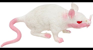 Chaks Stretchy nep rat 17 x 14 cm - wit - Horror/griezel thema decoratie