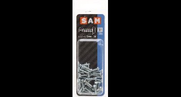 38x SAM  Zelftappence schroef cyl. kop 2.9x13mm B1 816002