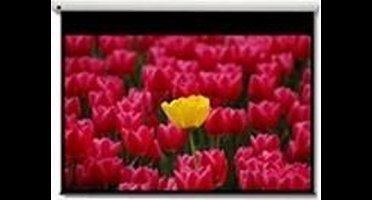 Optoma DE-9120EGA gemotoriseerd bediend projectiescherm 16:9 120 inch diagonaal