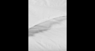 De Witte Lietaer Ducky enkel dekbed / donsdeken 240x220 cm, lits jumieux