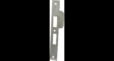 Nemef Sluitplaat - rechthoekig - 196 x 29/46,5 mm - RVS geborsteld - passend bij artikel 4119 - din rechts