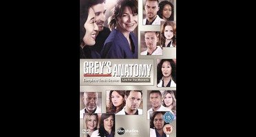 Grey'S Anatomy Season 10 (Import)