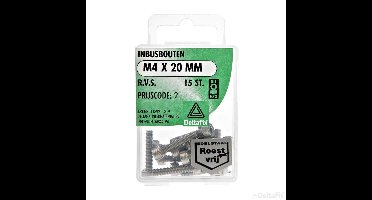 Inbusbouten M4 x 20 mm RVS