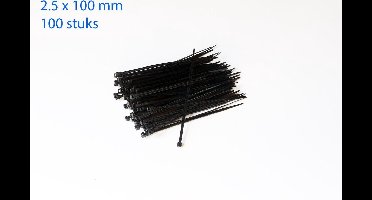 Kabelbinders / ty-raps zwart weerbestendig 100 x 2,5 mm 100 stuks