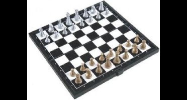 HOT Games schaakspel magnetisch bruin kunststof 20x20cm reisspel.