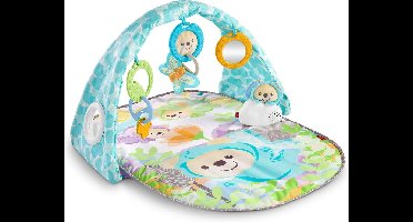 Fisher-Price - Vlinderdromen Gym