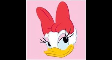 Borduurpakket voorgedrukt Disney Katrien