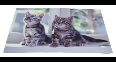 König CMP-NBSKIN10 notebook skin laptop sticker 17 inch 8 stuks