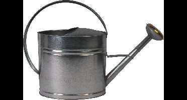 Gegalvaniseerde 10 liter Gieter van TalenTools
