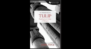 Tulip