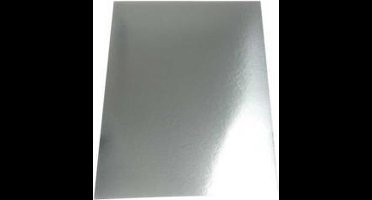 Creativ Company Metallic Foliekarton A4 Zilver 10 vel