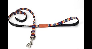 Beeztees Huvos - Hondenriem - Multi - 120 cm x 25 mm