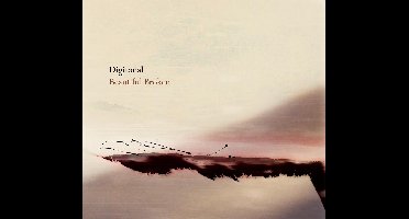 Beautiful Broken