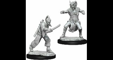 D&D Nolzur's Marvelous Miniatures - Male Human Monk