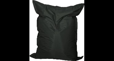 Mr. Lounge - Zitzak -kind-maat S- 110x140- Nylon Antraciet