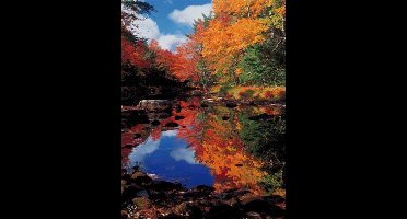 Canada - Indian Summer
