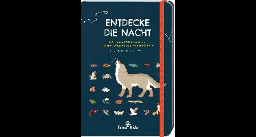 Swift, R: Terra Kids Entdecke die Nacht1