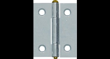 AXA scharnieren vaste-pen 40x32mm(4x) 1100-01-52/0WE