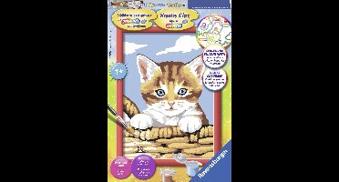 Ravensburger Schilderen op nummer Kat in de mand - Hobbypakket
