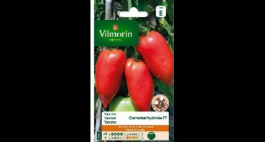 Tomaat Cornabel F1