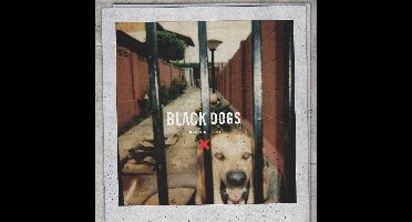 Black Dogs
