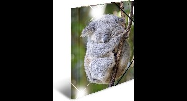 HERMA 19323 map Polypropyleen (PP) Multi kleuren A4