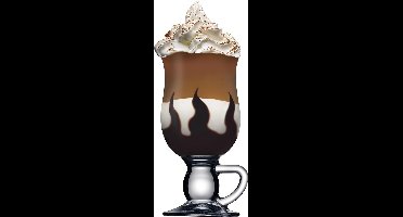 Pasabahce Irish Coffee glazen - 27 cl - 2 stuks