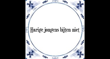 Tegeltje met Spreuk (Tegeltjeswijsheid): Harige jongens bijten niet + Kado verpakking & Plakhanger