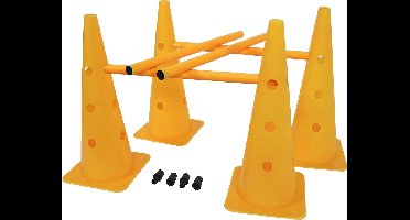 Agility slalom & hindernisset, 4x pilon en 2x ligger