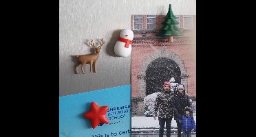 Qualy Winter Wonder Magneten (set Van 4)