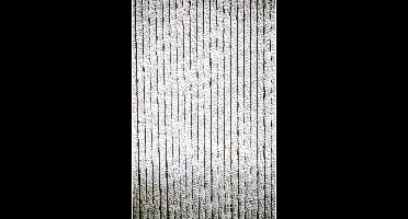 Sunburst - Chenille deurgordijn 100 x 230 - Grijs