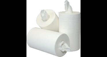 Mini Poetspapier - 120 meter x 22 cm per rol - 12 rollen per pak