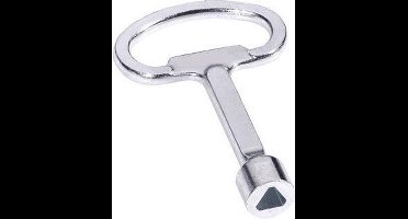 Driehoek paal sleutel T6