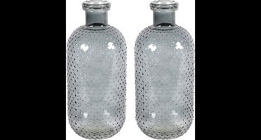 Countryfield Bloemenvaas Cactus Dots - 2x - donkergrijs transparant - glas - D15 x H35 cm