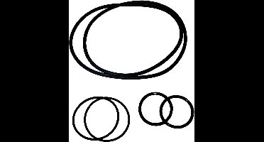 Hozelock O ring set Bioforce Revolution