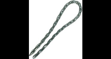 MasterLock Stalen ketting 2mx8mm 8018EURD