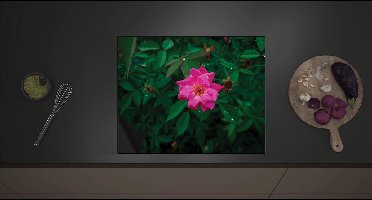 Inductie Beschermer - Close-up Roze Bloem - 60x52 cm - 2 mm Dik - Inductieplaat Beschermer met zwarte kern