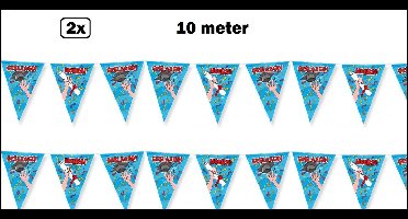 2x Vlaggenlijn Geslaagd 10 meter lichtblauw - Geslaagde Diploma thema feest festival party afgestudeerd examen hoera