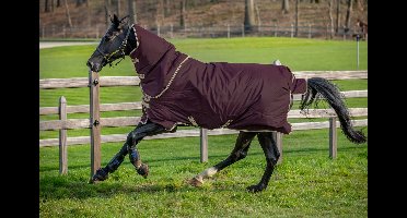 Amigo Hero 600D Plus Lite 0g Ripstop-Bordeaux -115